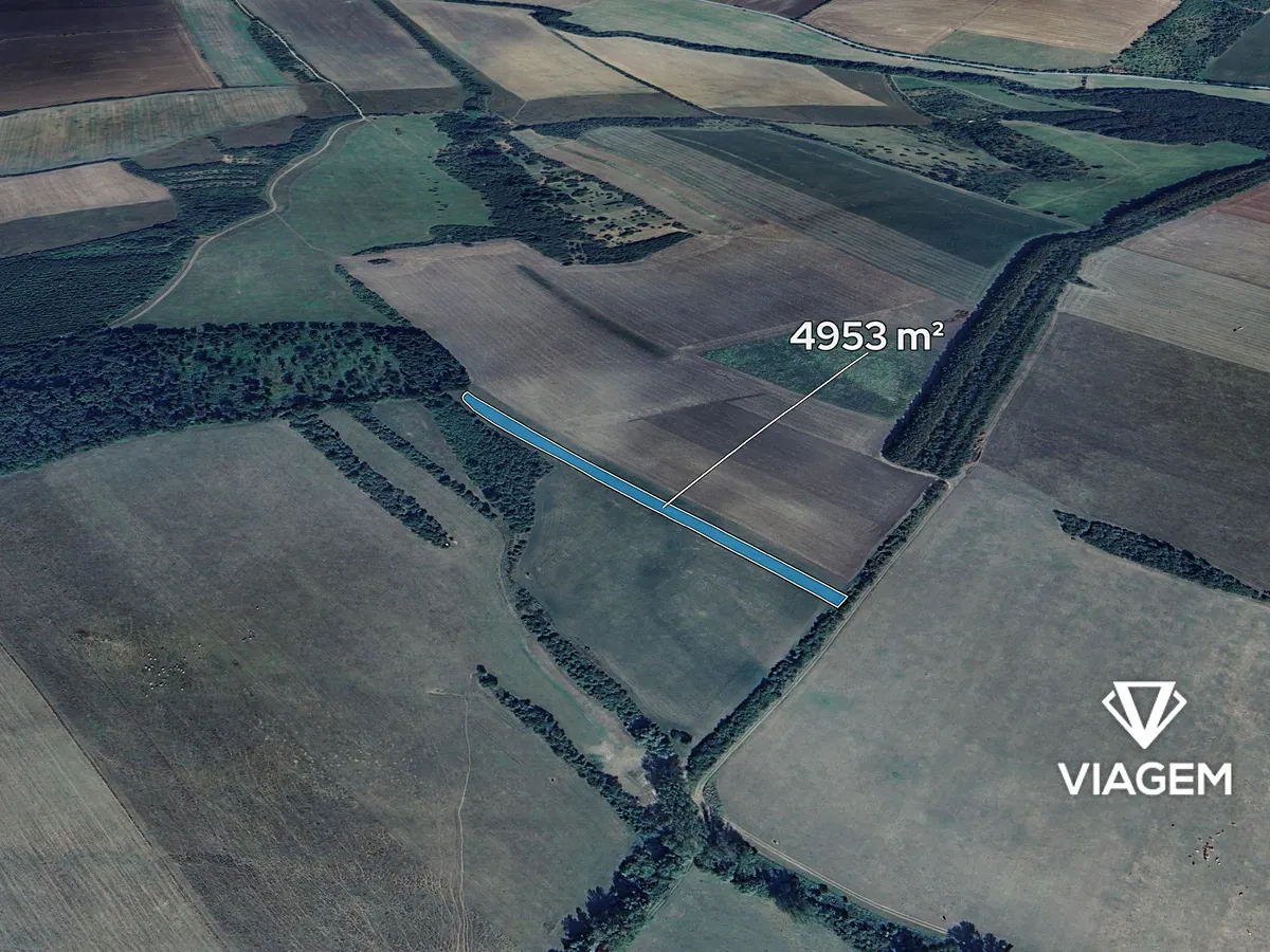 Prodej podílu 3/4 pole 3714 m²