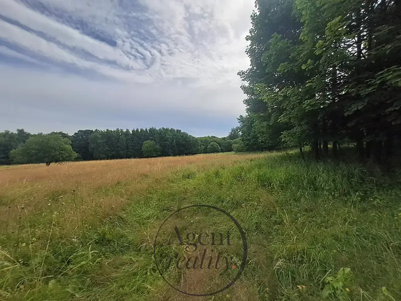 Prodej stavebního pozemku 6050 m², Petrovice – náhled fotky 2