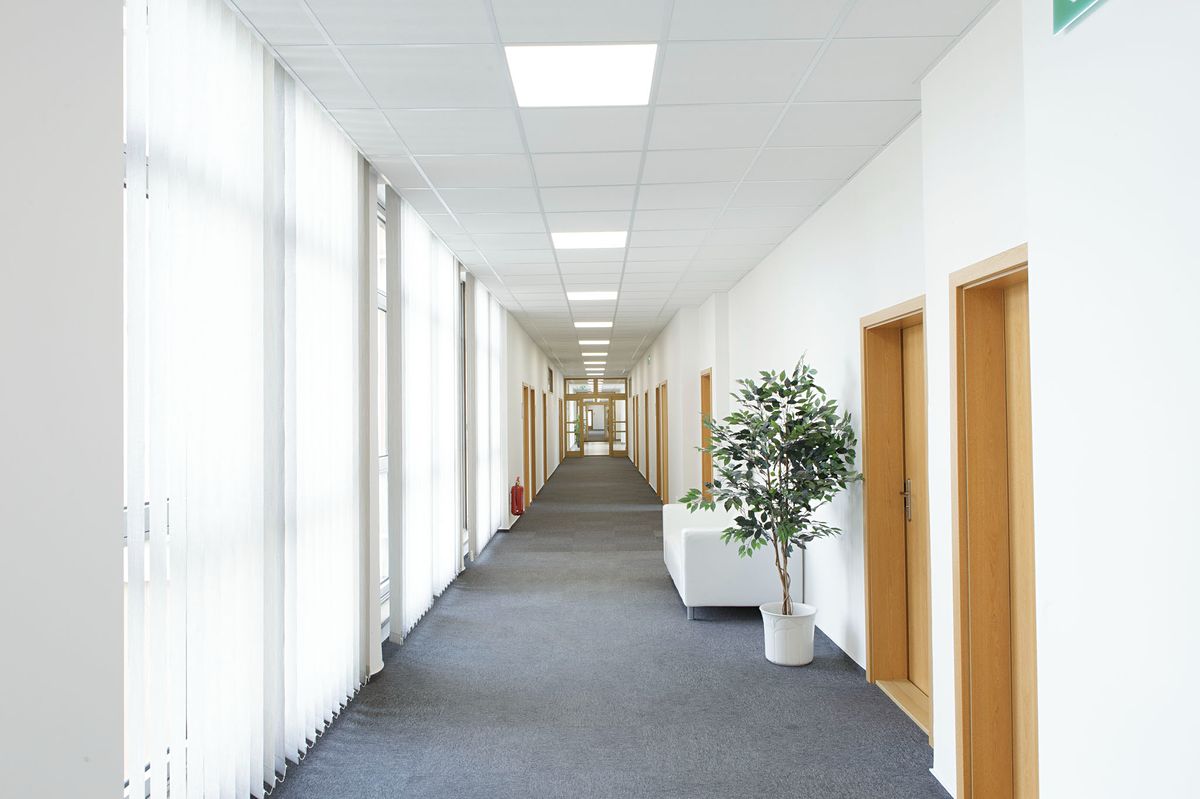 Pronájem kanceláře 55 m²