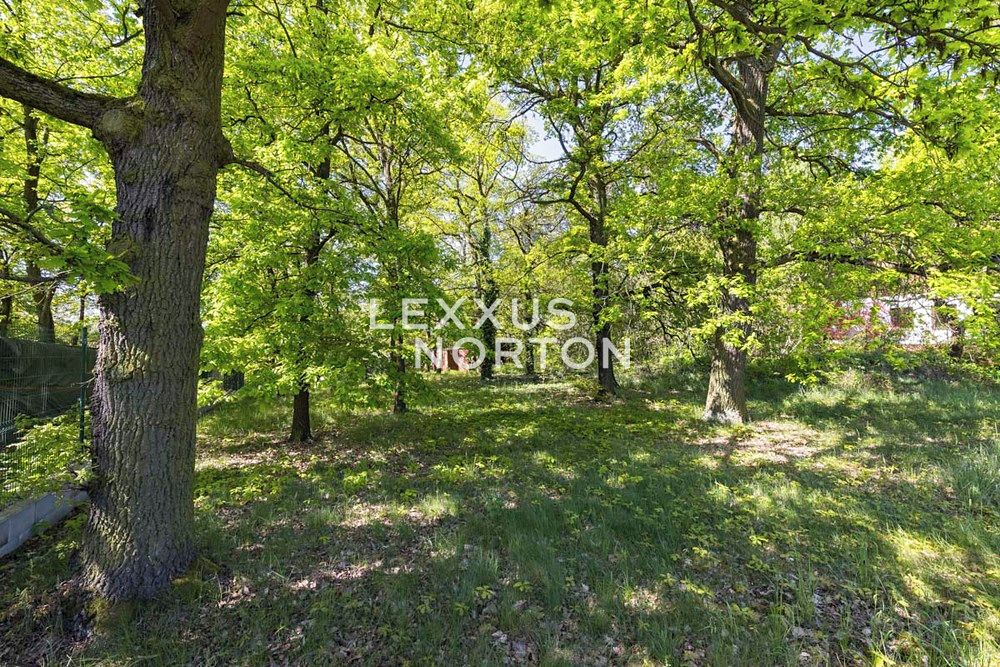 Prodej stavebního pozemku 1282 m² – fotografie 2