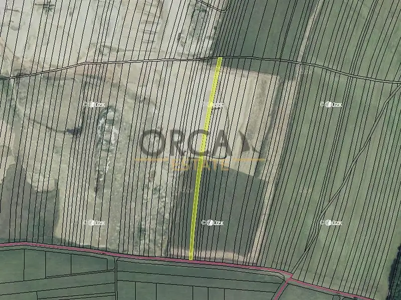 Prodej pozemku 10011 m², Žabčice – náhled fotky 3