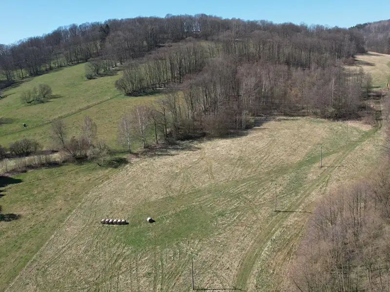 Prodej stavebního pozemku 4280 m², Heřmanov – náhled fotky 1