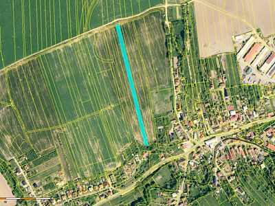 Prodej pole 5000 m²