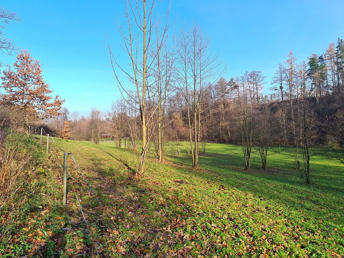 Prodej louky 7357 m²