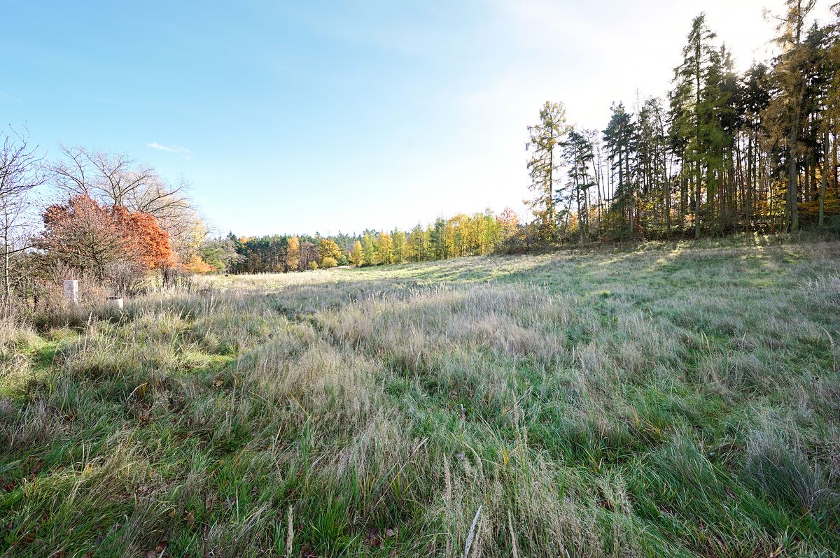 Prodej stavebního pozemku 1217 m² – fotografie 3
