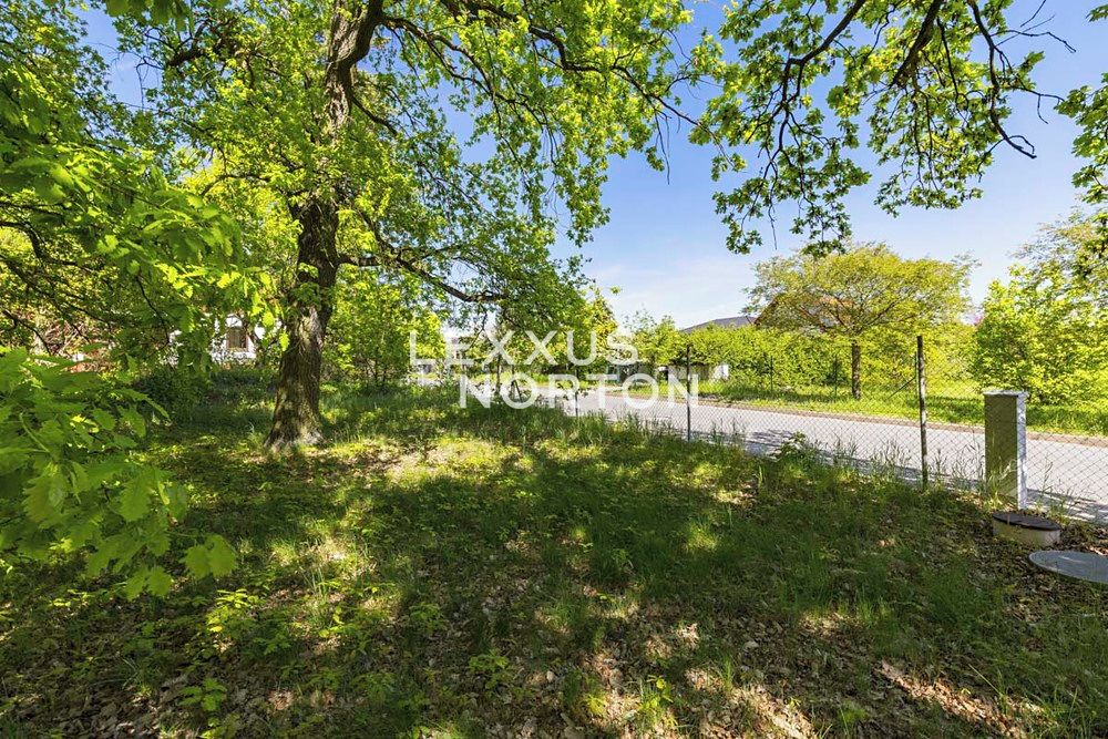 Prodej stavebního pozemku 1282 m² – fotografie 4