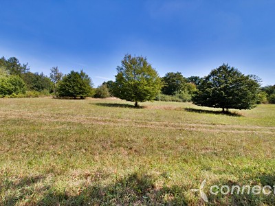 Prodej  louky 14 836 m² — photo 4
