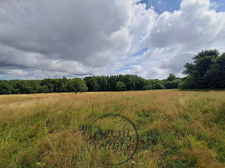 Grundstück zum Kauf, 6.050 m² (11 von 31)
