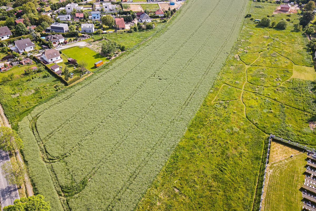 Prodej komerčního pozemku 11768 m²