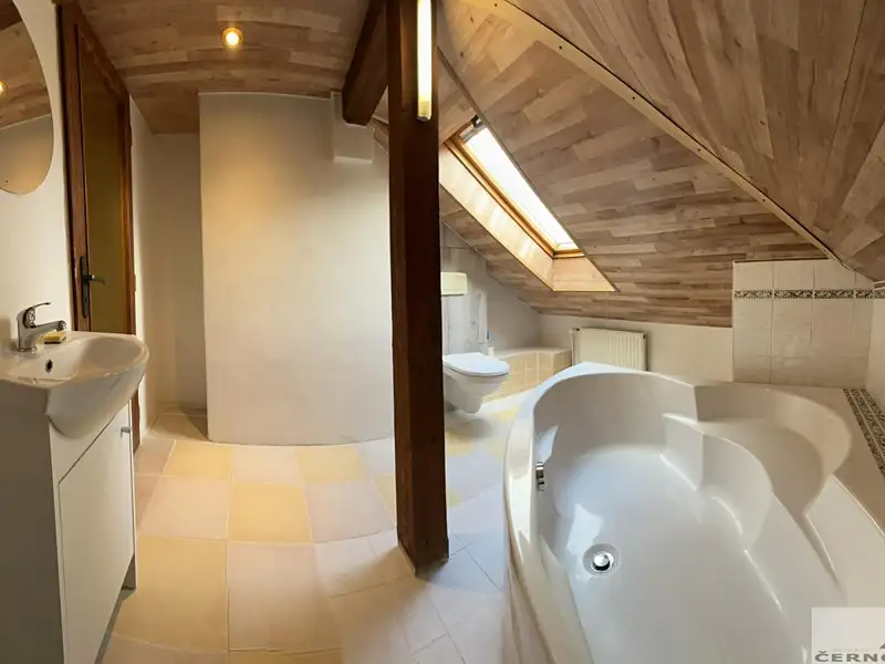 Prodej rodinného domu 363 m², pozemek 870 m², Mutějovice – náhled fotky 3