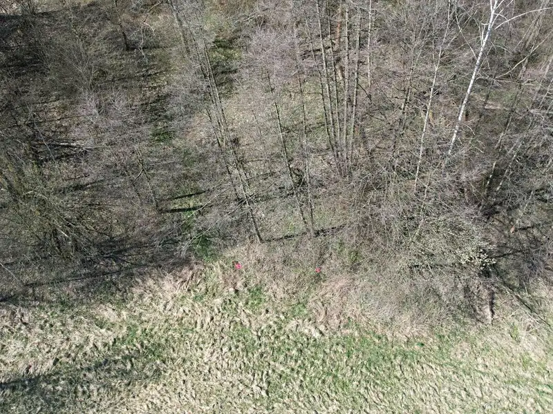 Prodej stavebního pozemku 4280 m², Heřmanov – náhled fotky 3