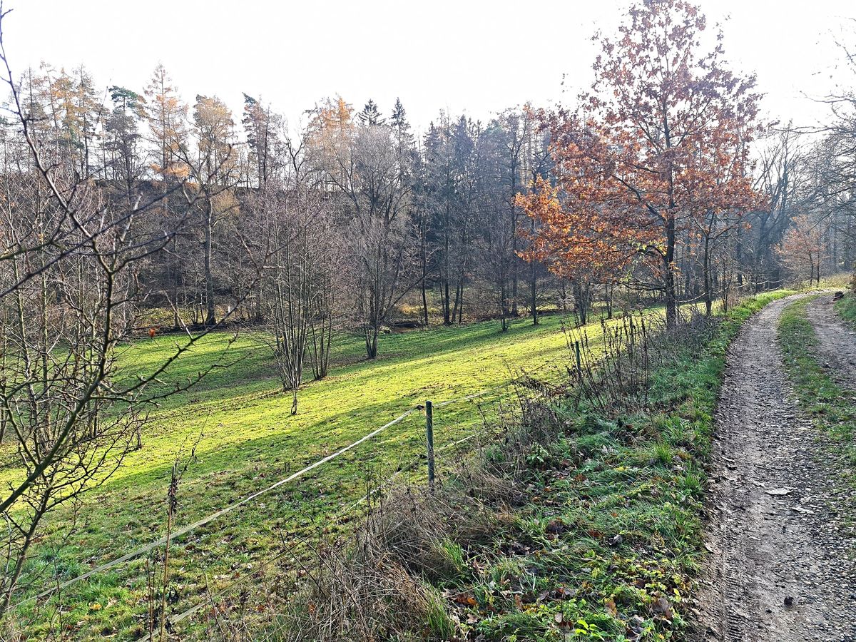 Prodej louky 7357 m² – fotografie 3