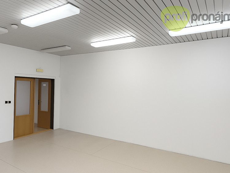 Gewerbefläche zur Miete, 42 m² (2 von 3)