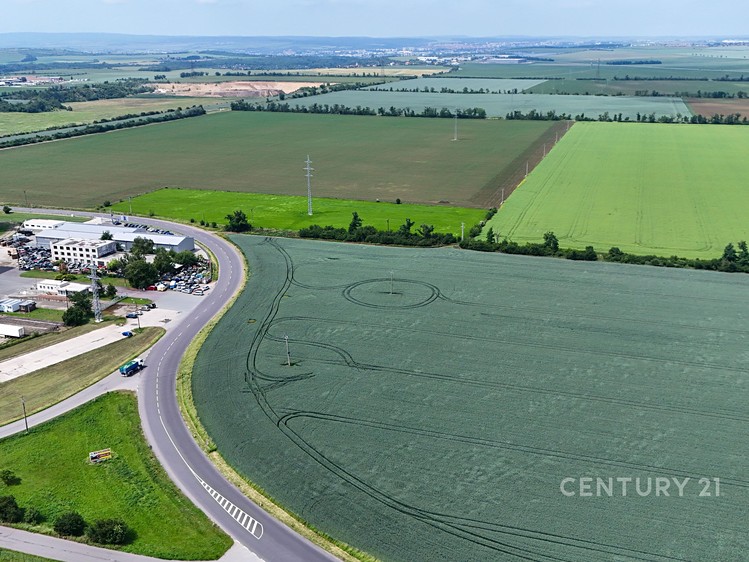 Ostatní