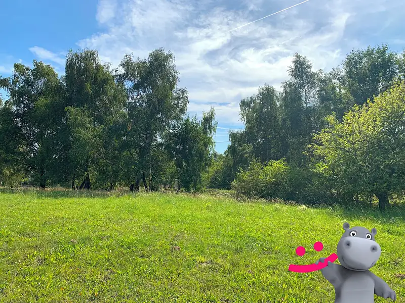 Prodej louky 5517 m², Podkopná Lhota – náhled fotky 2
