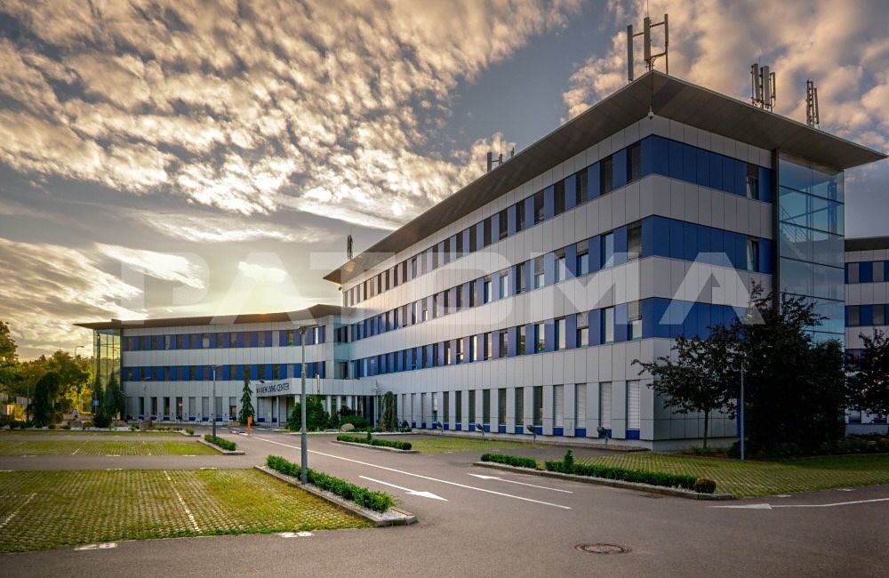Pronájem obchodního prostoru 242 m² – fotografie 4