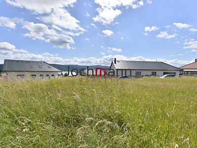 Frymburk