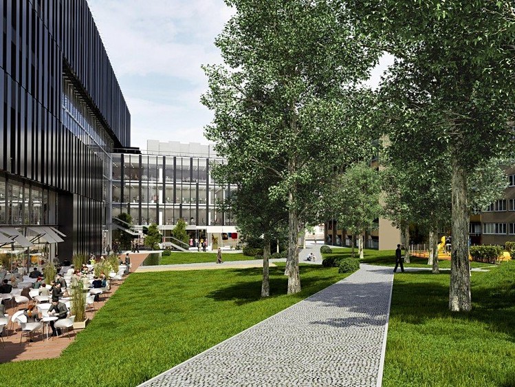 Комерційне приміщення в оренду, 840 м² (4 з 11)