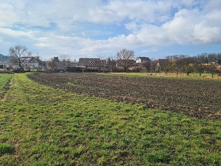 Ostatní