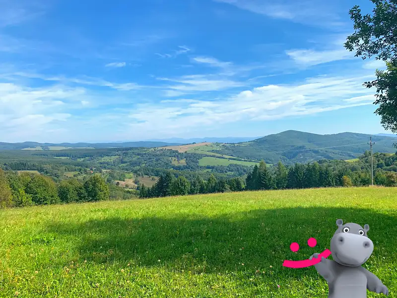 Prodej louky 5517 m², Podkopná Lhota – náhled fotky 3