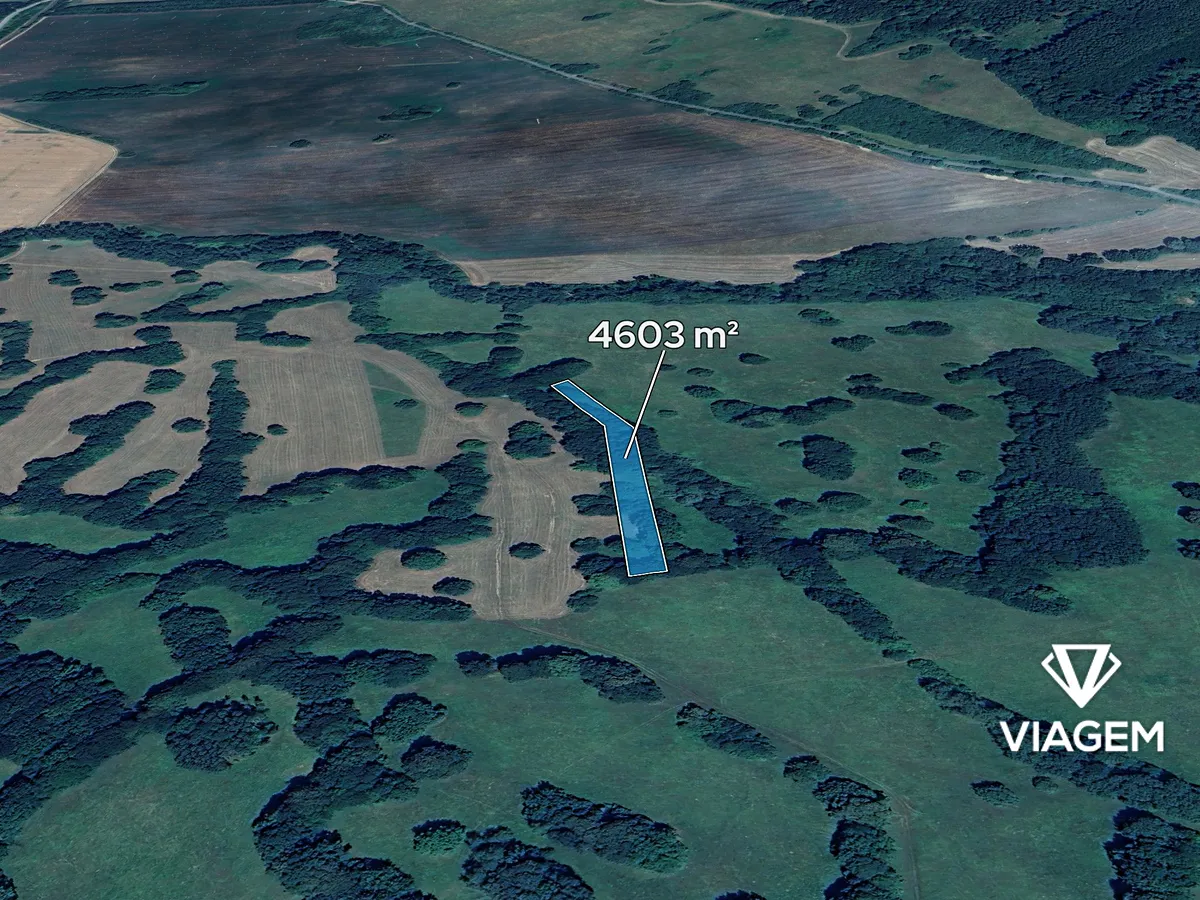 Prodej podílu 17/132 pole 592 m²