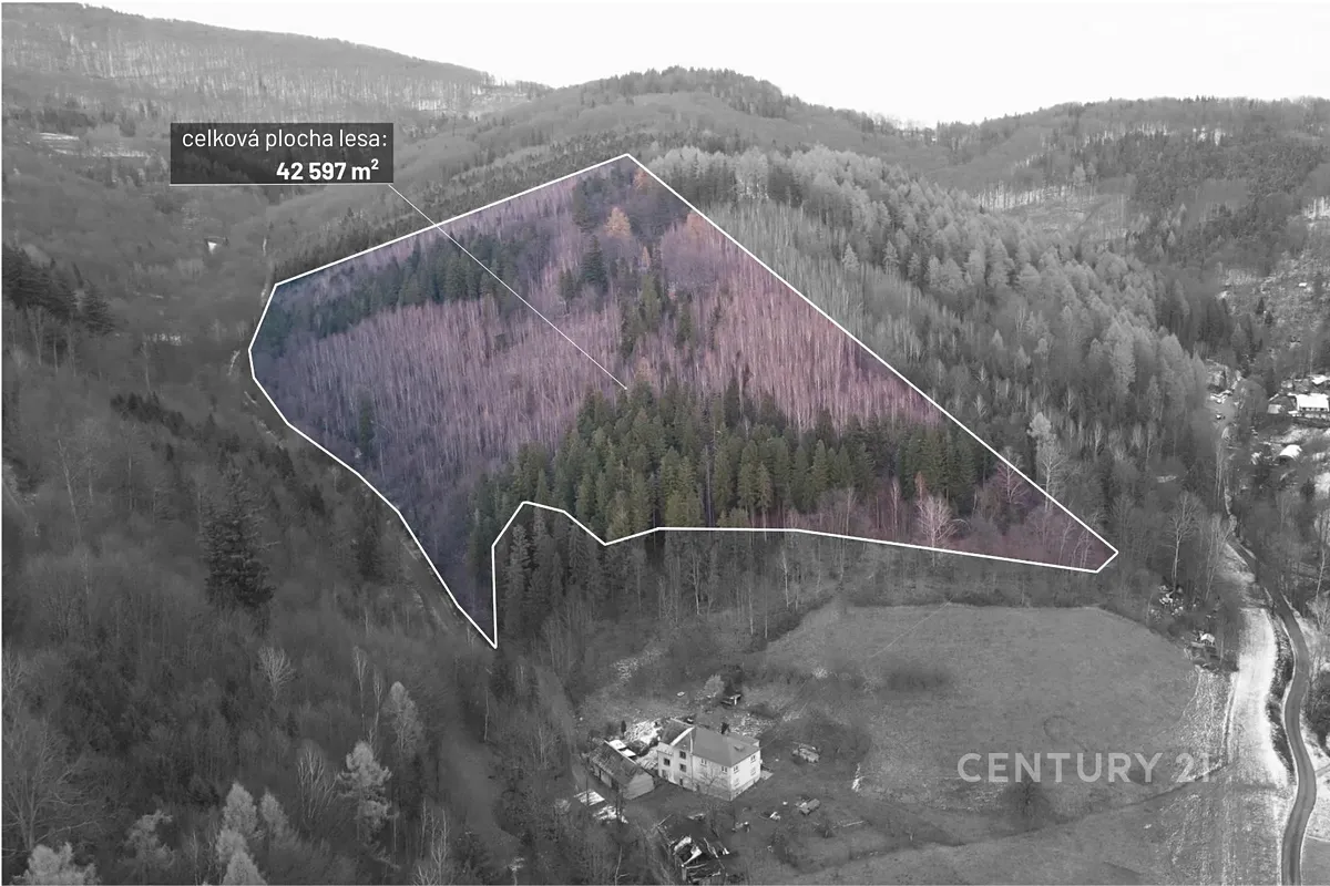 Prodej lesa 42597 m²
