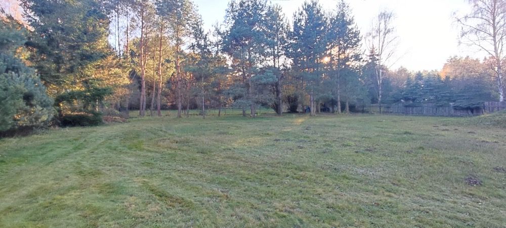 Prodej rodinného domu 196 m², pozemek 2484 m² – fotografie 5