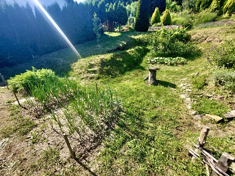 Prodej pozemku, 514 m² (10 z 18)
