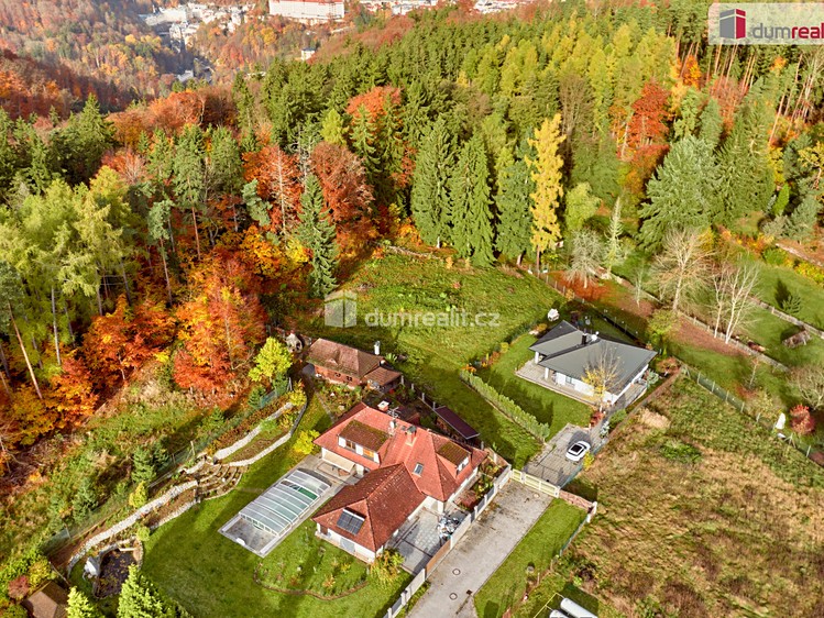 Prodej pozemku, 3 902 m² (9 z 11)