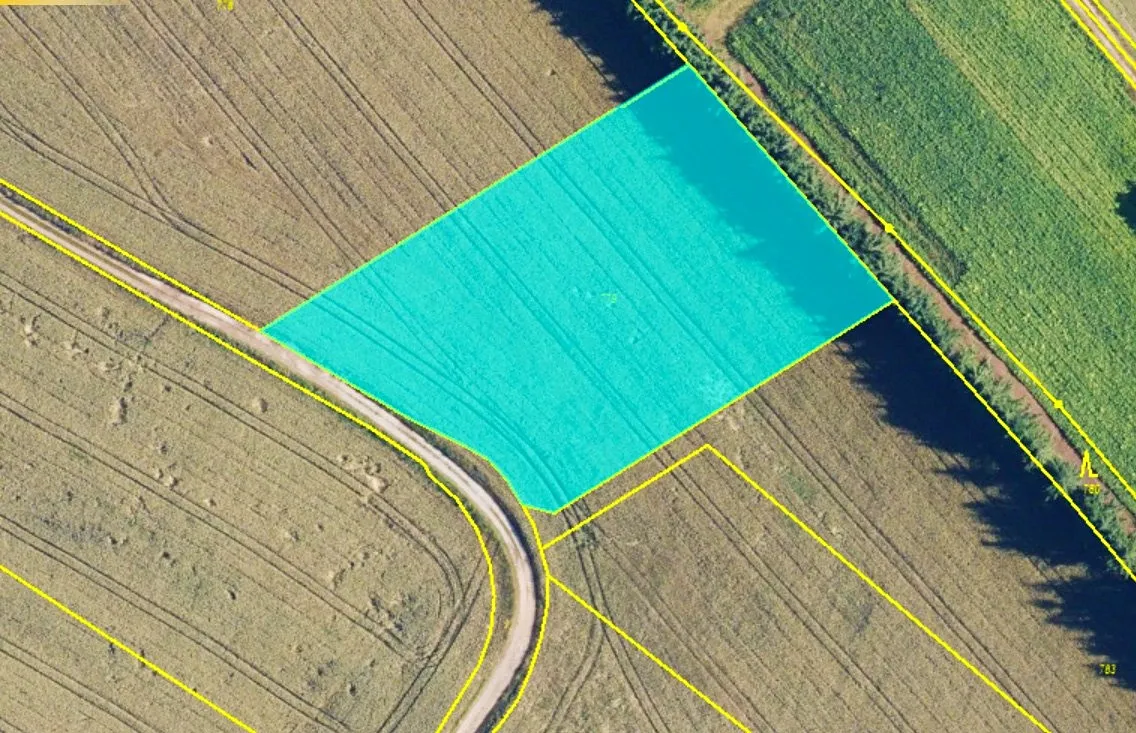 Prodej pole 3869 m²