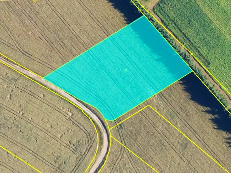 Prodej pole 3869 m², Lipová – náhled fotky 1