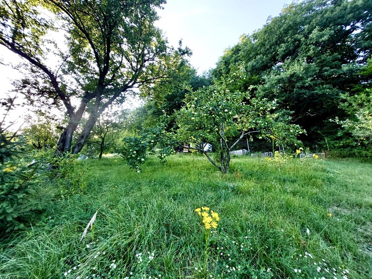 Prodej pozemku, 514 m² (9 z 18)