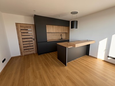 Prodej bytu 2+kk 41 m² (Jednopodlažní)