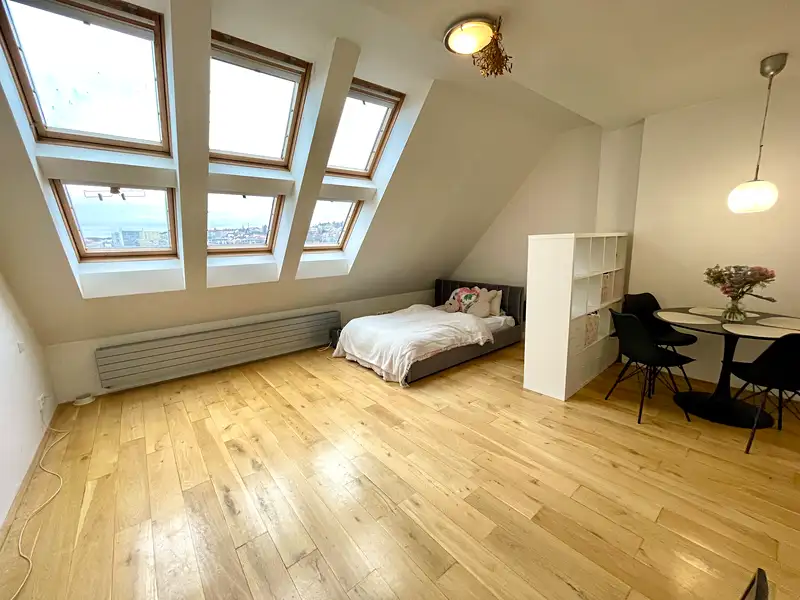 Pronájem bytu 1+kk 35 m², Praha – náhled fotky 1