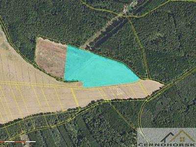 Prodej pole 67146 m²