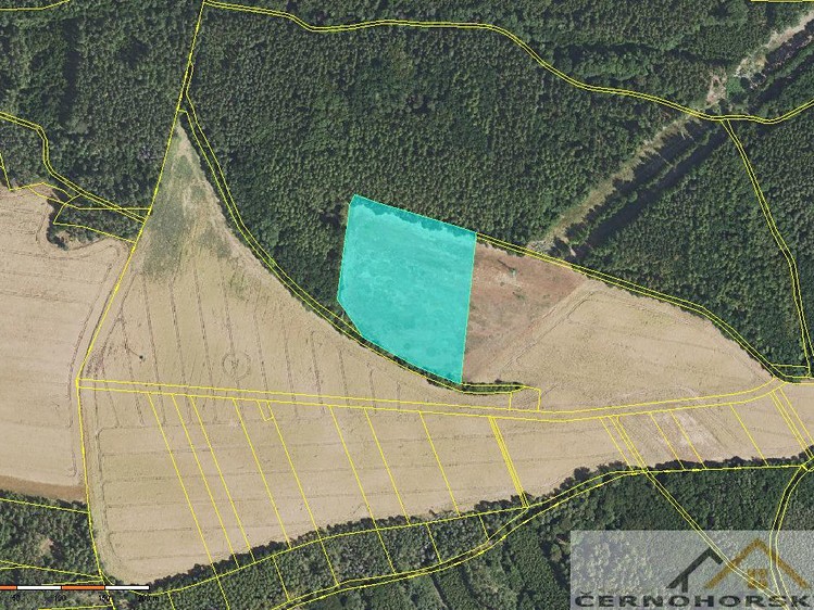 Grundstück zum Kauf, 67.146 m² (2 von 3)