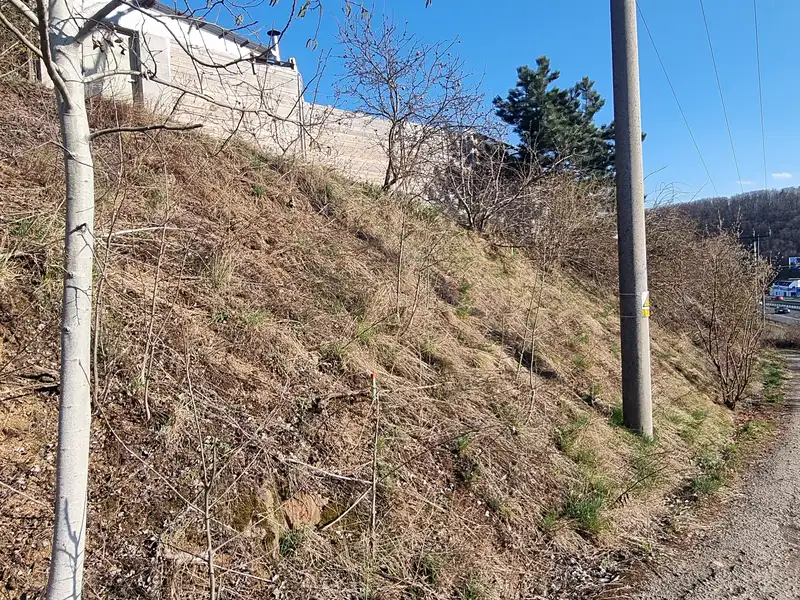 Prodej zahrady 37 m², Brno – náhled fotky 3