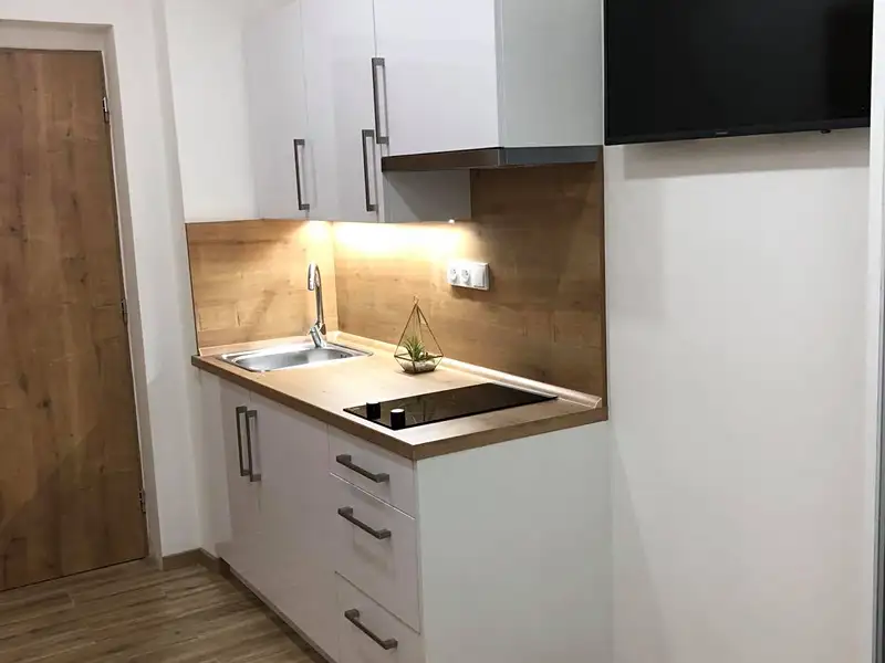 Pronájem bytu 1+kk 20 m², Zlín – náhled fotky 3