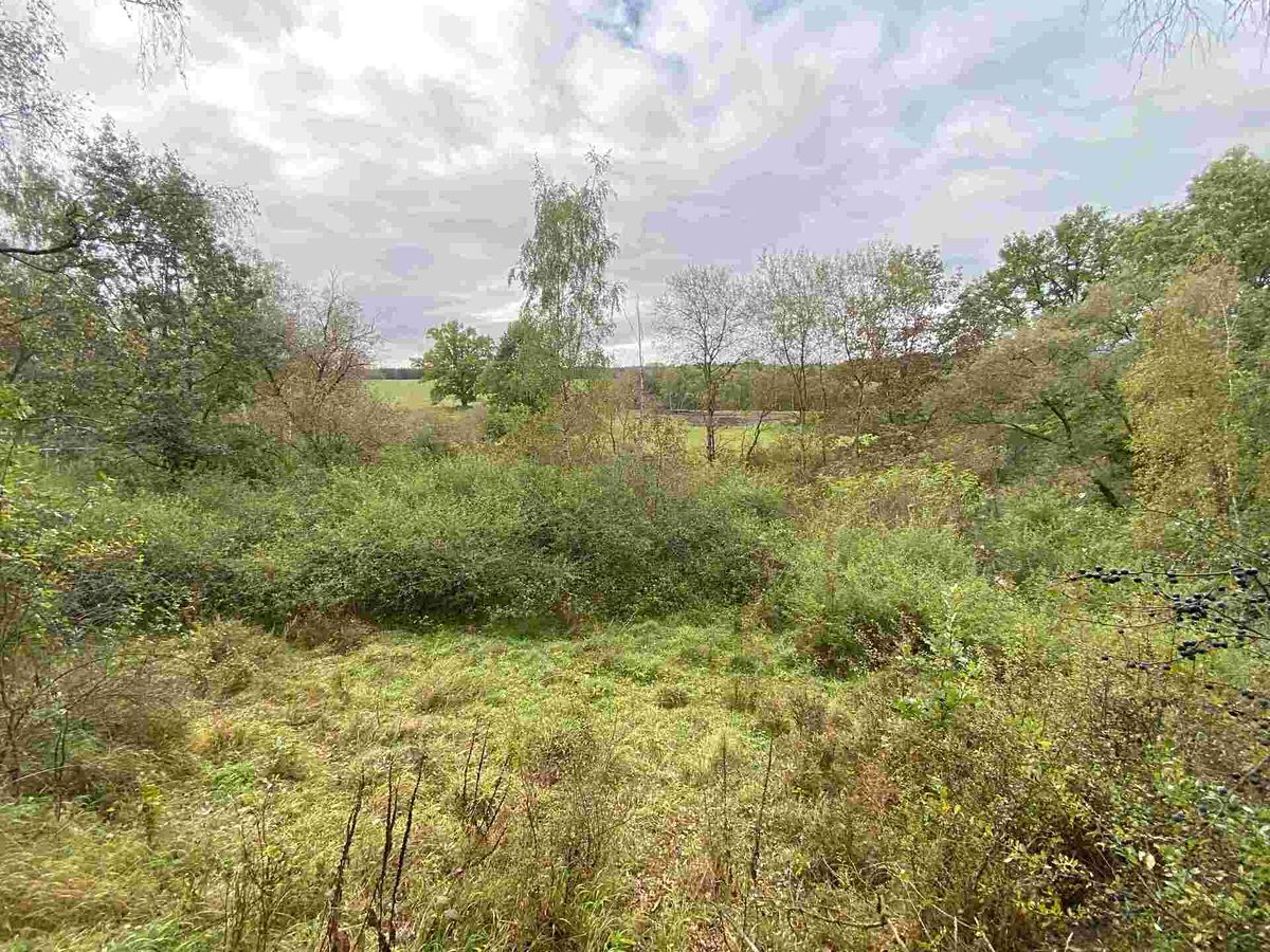 Prodej pozemku 10042 m² – fotografie 3