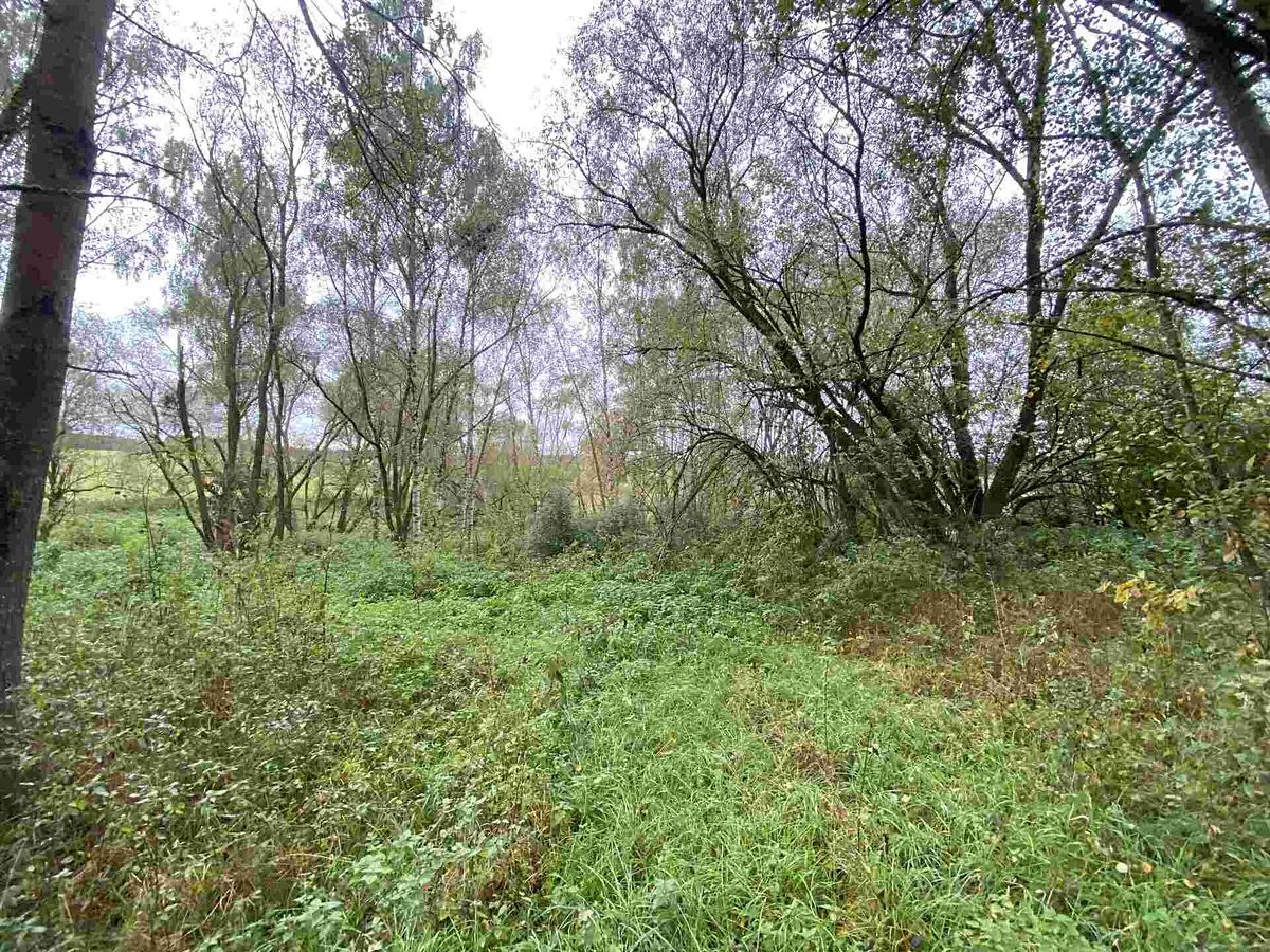 Prodej pozemku 10042 m² – fotografie 2
