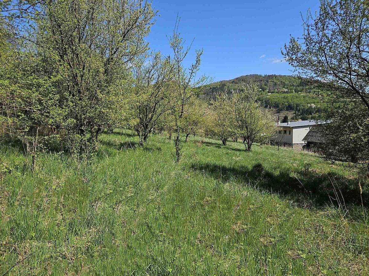 Prodej stavebního pozemku 3802 m² – fotografie 2
