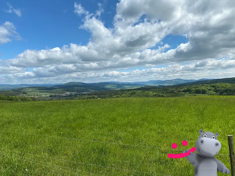 Prodej louky 5517 m², Podkopná Lhota – náhled fotky 1