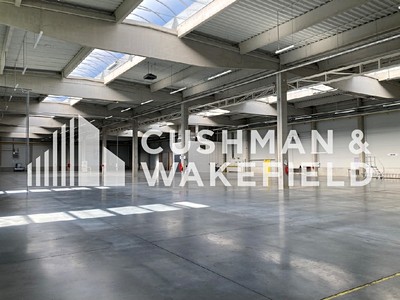 Gewerbefläche zur Miete, 7.445 m² (2 von 12)