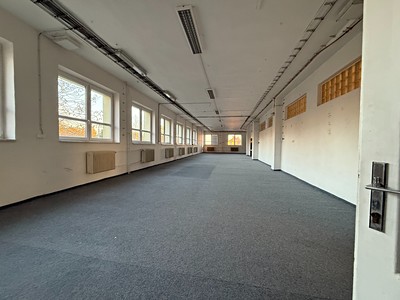 Комерційне приміщення в оренду, 550 м² (2 з 11)