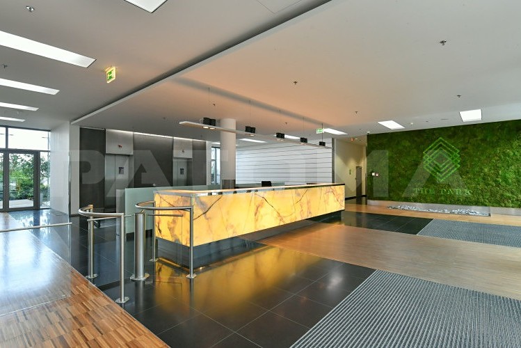Pronájem komerčního prostoru, 525 m² (7 z 11)