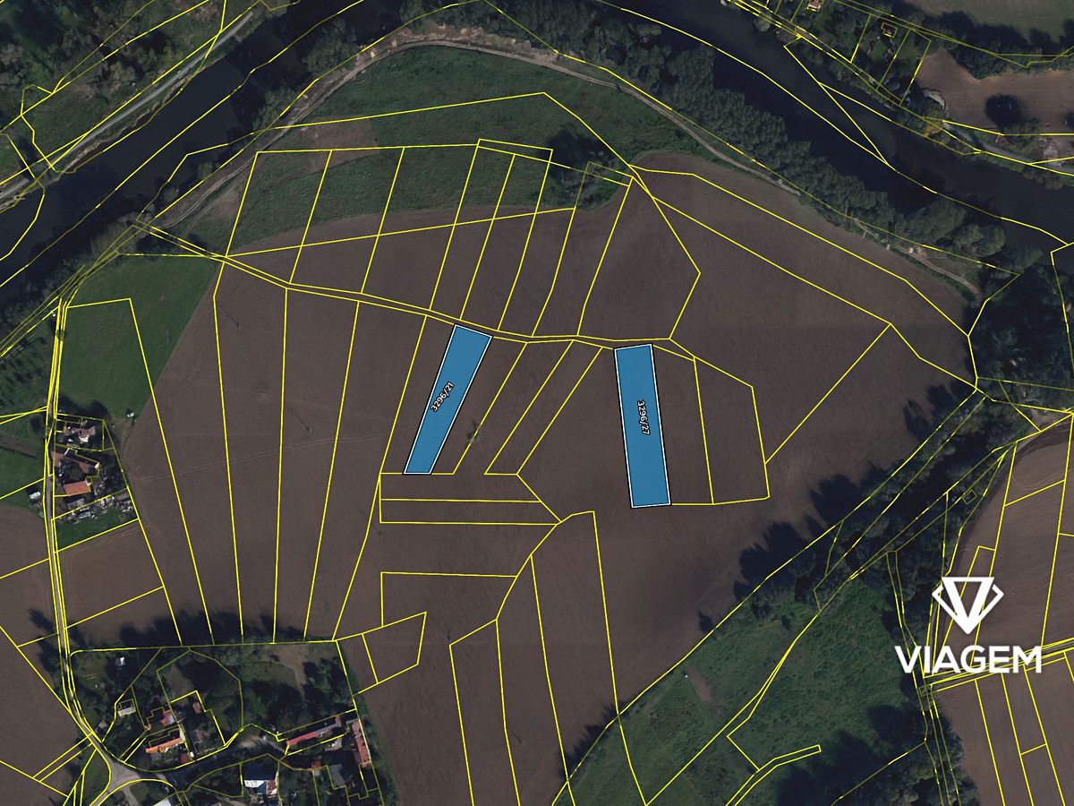 Prodej pole 3939 m² – fotografie 4