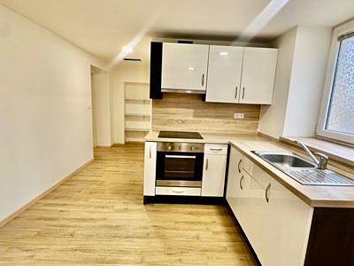 Prodej bytu 2+1 59 m² (Jednopodlažní)
