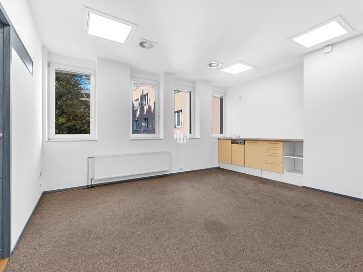 Pronájem komerčního prostoru, 330 m² (5 z 10)