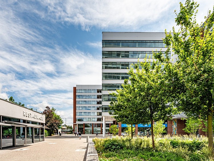 Gewerbefläche zur Miete, 173 m² (2 von 9)