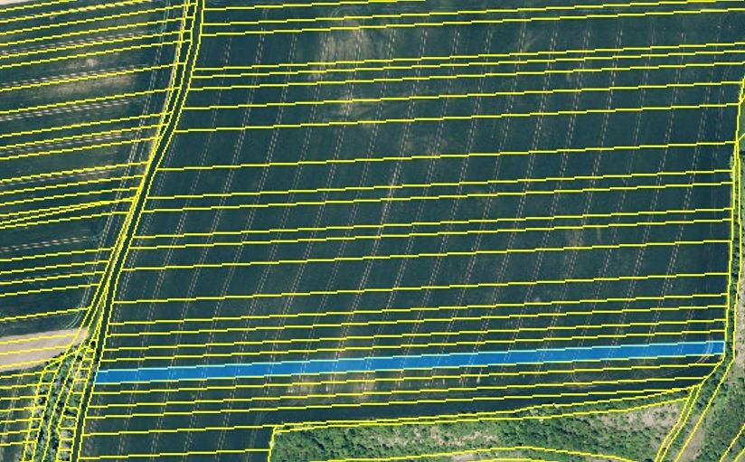 Prodej pole 4334 m² – fotografie 2